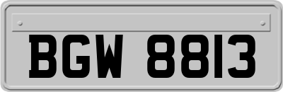 BGW8813
