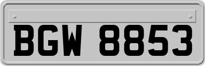 BGW8853