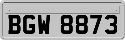BGW8873