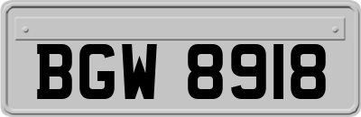 BGW8918
