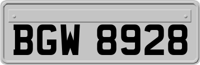 BGW8928