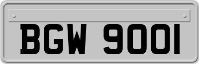 BGW9001