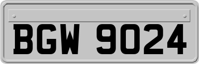 BGW9024