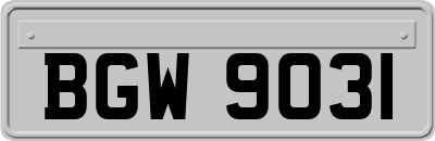 BGW9031