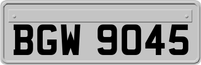 BGW9045