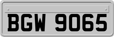 BGW9065