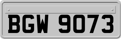 BGW9073