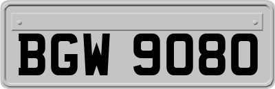 BGW9080