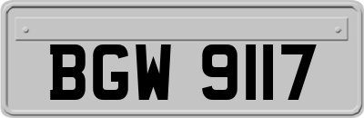 BGW9117