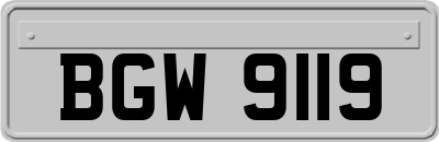 BGW9119