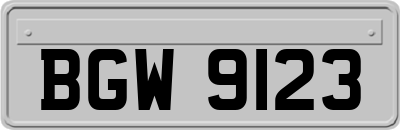 BGW9123