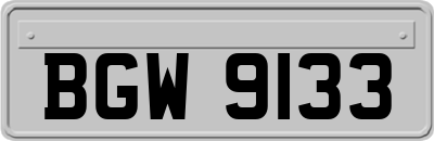 BGW9133