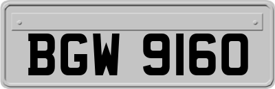BGW9160