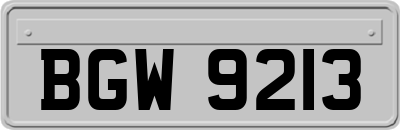 BGW9213