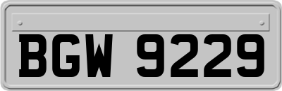 BGW9229