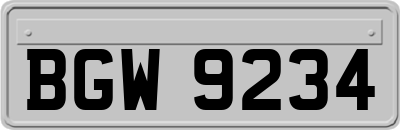 BGW9234
