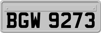 BGW9273