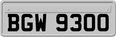 BGW9300