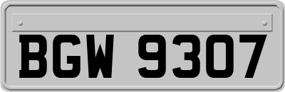 BGW9307