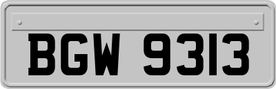 BGW9313