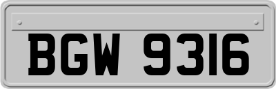 BGW9316