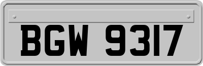 BGW9317