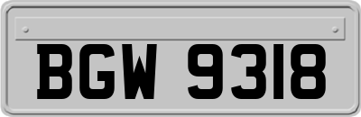 BGW9318