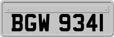 BGW9341