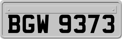 BGW9373