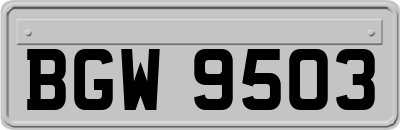 BGW9503
