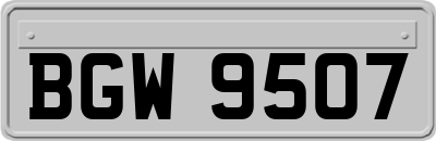 BGW9507