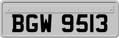 BGW9513