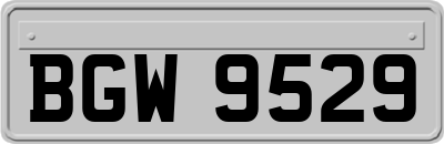 BGW9529