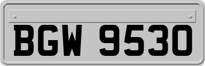 BGW9530