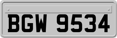 BGW9534
