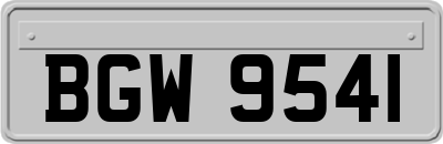BGW9541
