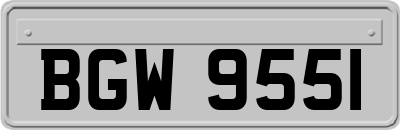 BGW9551