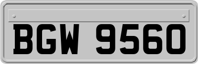 BGW9560
