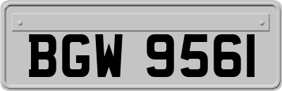 BGW9561