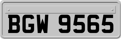 BGW9565