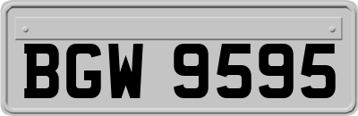 BGW9595