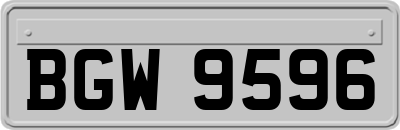 BGW9596