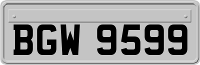 BGW9599