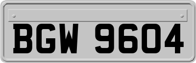 BGW9604