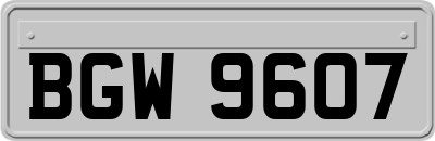 BGW9607