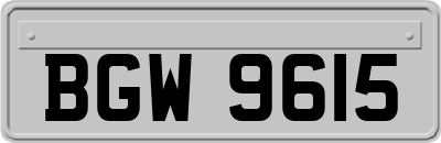 BGW9615