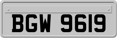 BGW9619
