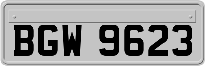 BGW9623