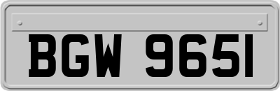 BGW9651