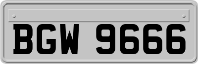 BGW9666